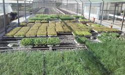 Horario de apertura Hort D'en Ros, Reus