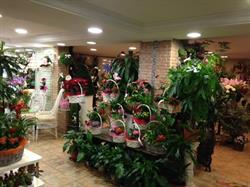 Horario de apertura Floristería Jauja, Jaén