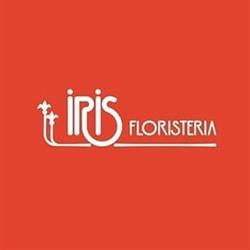 Horario de apertura Iris Floristería, Logroño
