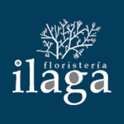 Horario de apertura Floristería Ilaga, Tafalla
