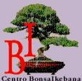 Horario de apertura Bonsaikebana, Barcelona