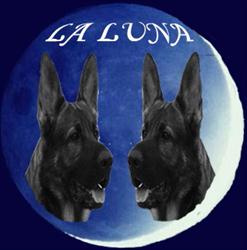 Horario de apertura Residencia Canina La Luna, La Ina