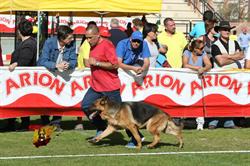 Horario de apertura Comercial Lorenzo, Vilagarcía de Arousa