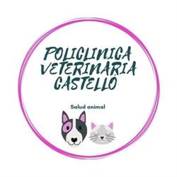 Horario de apertura Castelló Policlínica Veterinaria, Castellón de la Plana