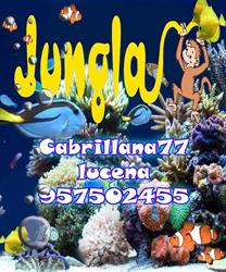 Horario de apertura Jungla, Lucena