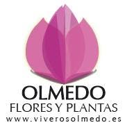 Horario de apertura Viveros y Floristerías Hnos. Olmedo, Jerez de la Frontera