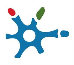 Horario de apertura Adacea - Asociacion de Daños Cerebrales Adquirido de Alicante, 