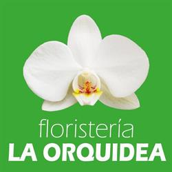 Horario de apertura La Orquídea Floristería, Castellón de la Plana