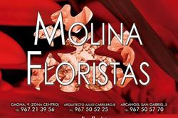 Horario de apertura Floristería Molina Floristas, Albacete