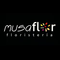 Horario de apertura Musaflor, Burgos