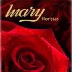 Horario de apertura Mary Floristas- Eventos, Valladolid
