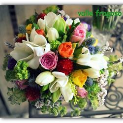Horario de apertura Floristería Valle Fragoso, Vigo