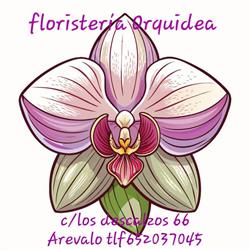 Horario de apertura Floristería Orquídea, Arévalo