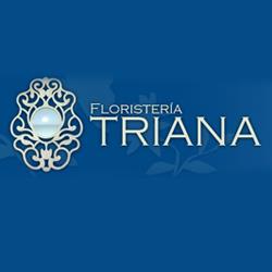 Floristeria Triana en Sevilla (Los Remedios) - Horario de apertura