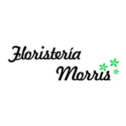Floristería Morris en Valencia (Jesús) - Horario de apertura