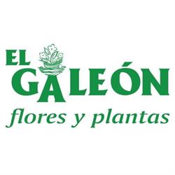 Horario de apertura Floristería Huerta Del Galeón, Lucena