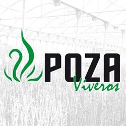 Horario de apertura Viveros Jesús Poza, Calatorao
