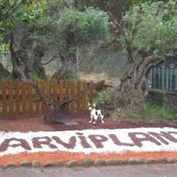 Horario de apertura Arviplant, Noia