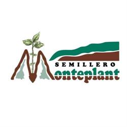Horario de apertura Semillero Monteplant, Vícar