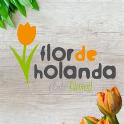 Horario de apertura Flor de Holanda arte floral, Valladolid