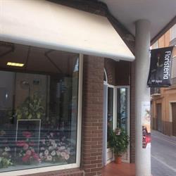 Horario de apertura Maria Luisa Floristeria, Utiel