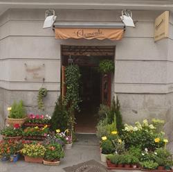 Floristería Clemente Arte Floral en Madrid (Centro) - Horario de apertura
