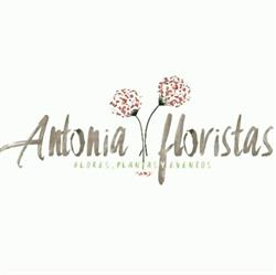 Horario de apertura Antonia Floristas (Yecla),