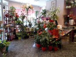 Flores Lázaro Baeta en Zaragoza (Centro) - Horario de apertura