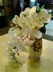 Horario de apertura ORQUÍDEA FLORISTERÍA (Mª Inmaculada Hijosa Gilsanz), Valladolid