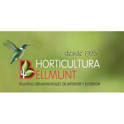 Horario de apertura Horticultura Bellmunt S.L., Lleida