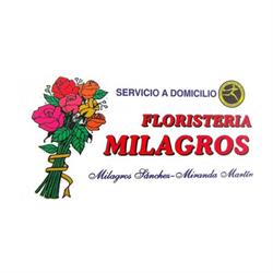 Horario de apertura Floristería Milagros, Don Benito