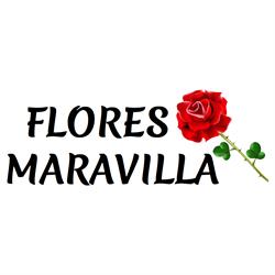 Horario de apertura Flores Maravilla, Toledo