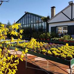 Horario de apertura El Jardin de Moral S.l.l, Moralzarzal