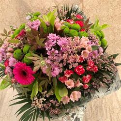 Horario de apertura Flores, plantas y regalos la Camelia, Moraleja