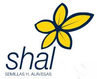 Horario de apertura Shal, Vitoria-Gasteiz