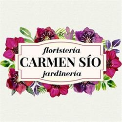 Floristería Carmen Sío en Vigo (Corujo) - Horario de apertura