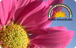 Horario de apertura Flores Inmaculada, Fuengirola