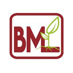 Horario de apertura Blas Mocholi S.L., Valencia