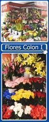 Horario de apertura Flores Colón I, Madrid