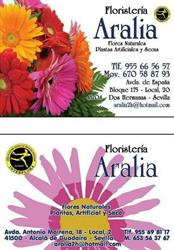 Horario de apertura Aralia floristerías, Dos Hermanas