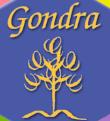 Horario de apertura Gondra, Mungia