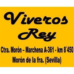 Horario de apertura Viveros Rey (Morón F. - Sevilla)., Morón de la Frontera