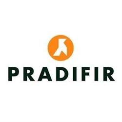 Horario de apertura Pradifir S.l., Dos Hermanas