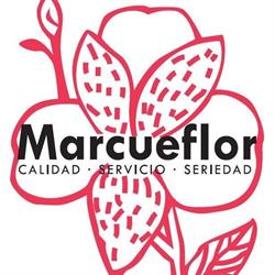 Marcueflor S.l. en Madrid (Chamartín) - Horario de apertura