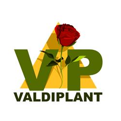 Horario de apertura Viveros Valdiplant, Las Marinas