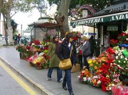 Floristería Andalucía en Málaga (Distrito Centro) - Horario de apertura