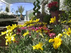 Horario de apertura Garden La Sinia, S.l., Tortosa