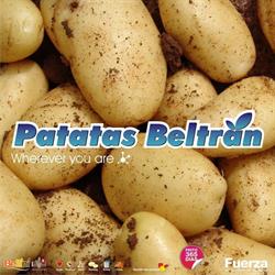 Horario de apertura Patatas Beltrán S.l., Daya Vieja