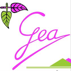 Horario de apertura Herbodietética Gea, Huesca