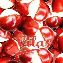 Horario de apertura Pastelería Vilas, Huesca